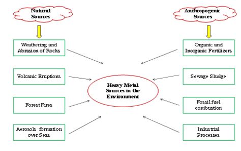 Heavy metal toxicity in soils: sources, remediation technologies and ...