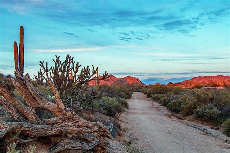 Arizona desert sunset road to no where. Photograph by Ray Redstone ...