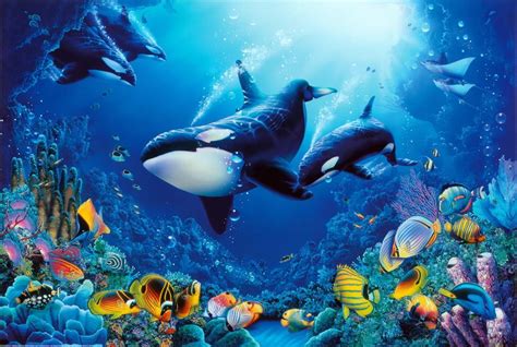 Delight of Life Underwater Scene Art Print Poster - 36x24 - Walmart.com