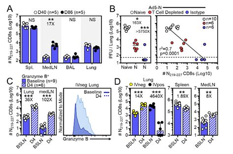 (PDF) Nucleocapsid vaccine elicits spike-independent SARS-CoV-2 protective immunity (2021 ...