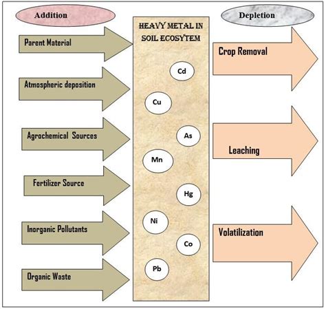 Sources of heavy metal pollution in soil (Adapted from Wuana and... | Download Scientific Diagram