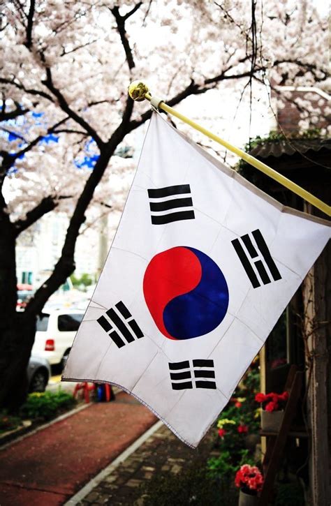 Intercâmbio na Coréia,sonho?💛 South Korea Flag, South Korea Seoul ...