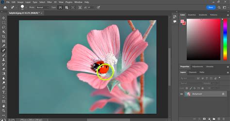 How to use the spot healing brush in Photoshop