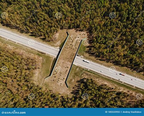 Wildlife Crossing Ecoduct Or Animal Overpass On Trans-Canada Highway ...