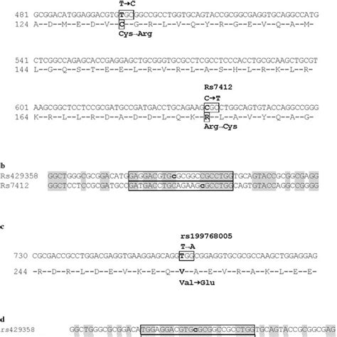 Definition of the APOE4 motif. (a) Location of the APOE ε variants on... | Download Scientific ...