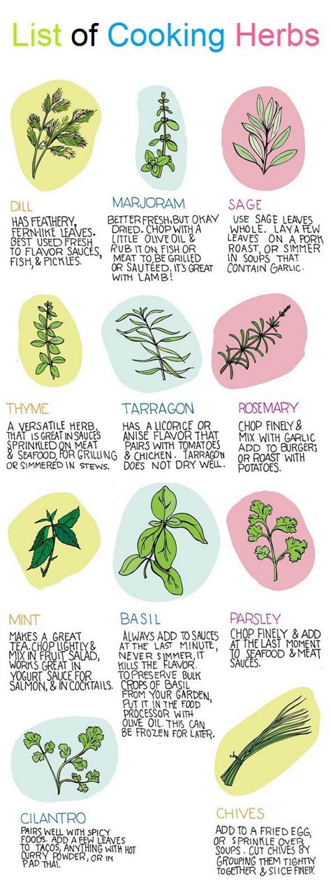 dreamgarden101.com | Cooking herbs, Cooking herbs list, Herbs