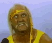 Hulk Hogan Brother GIFs | Tenor