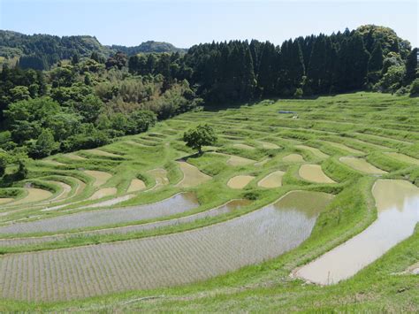 'Senmaida': Scenic rice terraces evoking old Japan - Japan Today