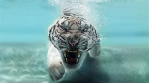 white tiger swimming under water