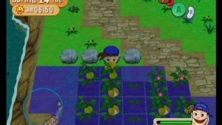 Harvest Moon: Magical Melody - GameSpot