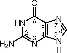 Bio Gallery: Nucleic Acids Structures