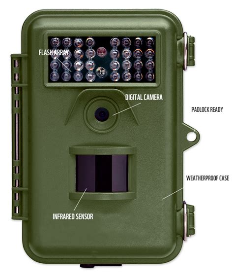 Camera trapping for conservation | WWF