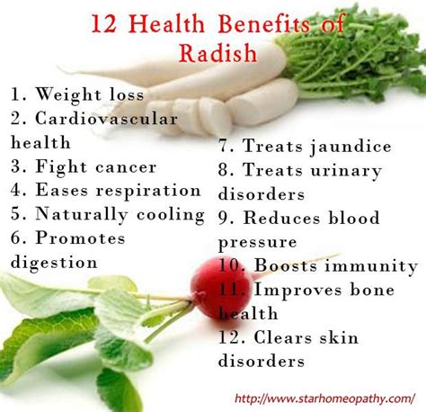 health benefits of radish or mooli | Health benefits of radishes ...