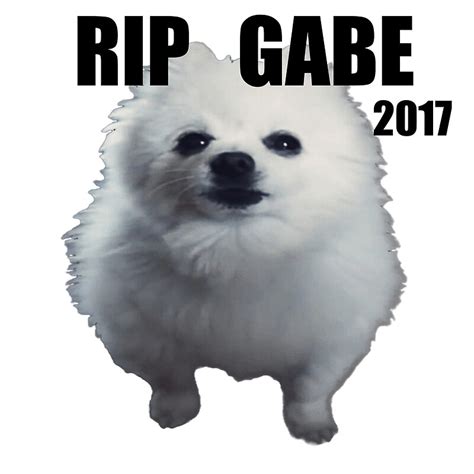 Gabe the Dog: Posters | Redbubble