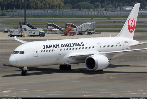 JA836J Japan Airlines Boeing 787-8 Dreamliner Photo by Ronald Vermeulen | ID 1082523 ...