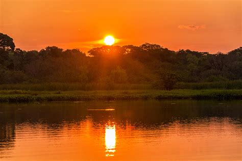 Red and Orange Jungle Sunset Photograph by Jess Kraft