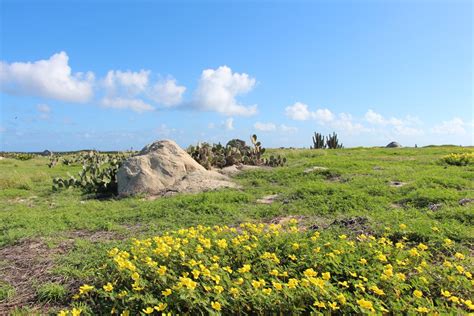 7 Wild and Beautiful Sights to See in Aruba | Visit Aruba Blog