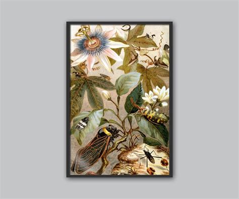 Cicada Print Insect Wall Art Print Cicada Poster Biology Science Art ...