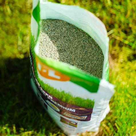 C-I-L® Premium Grass Seed Sun & Shade | C-I-L® Lawn and Garden