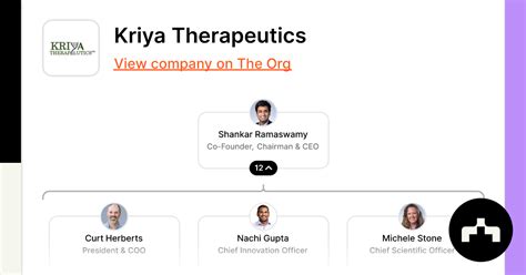 Kriya Therapeutics - Org Chart, Teams, Culture & Jobs | The Org