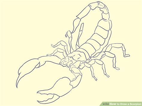 Easy Scorpion Drawing at GetDrawings | Free download