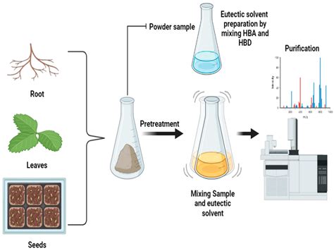 Molecules | Free Full-Text | Major Phytochemicals: Recent Advances in ...