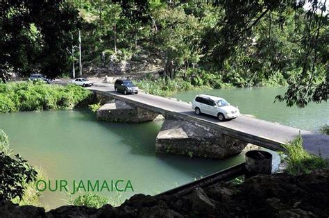 Flate bridge #Jamaica | Jamaica food, Jamaica, Jamaicans