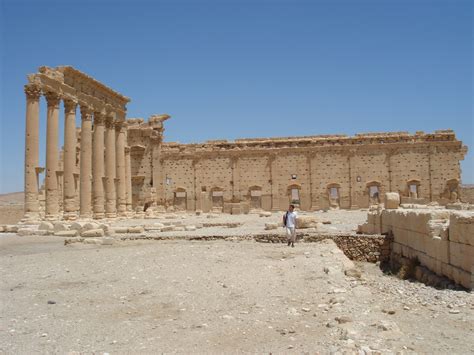 Palmyra, Syria, Colonnade Free Stock Photo - Public Domain Pictures