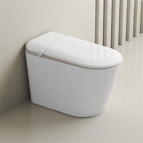 yulika One Piece Bidet Toilet for Bathrooms Toilet with Warm Water ...