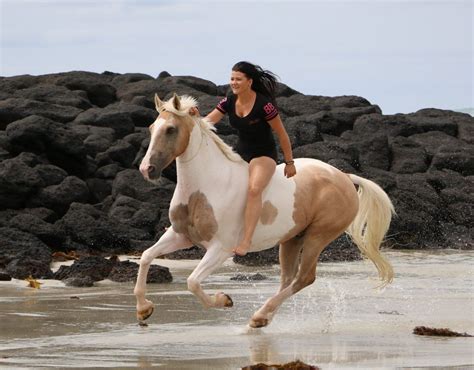 Cantering on the beach Australia - Free Riding NZ | Horses, Bareback riding, Beautiful horses