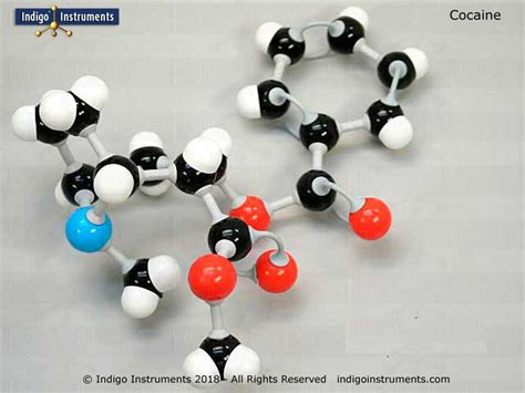 Cocaine Chemical Model Molecular Structure Kit, Assembled, from Indigo