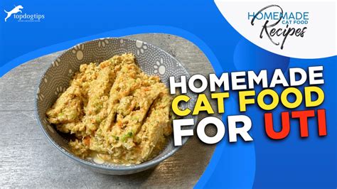 Recipe: Homemade Cat Food for UTI – Top Dog Tips