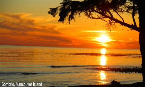 Sunset at Sombrio Beach, Vancouver IslVacation wants | Most beautiful ...