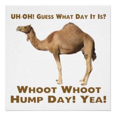 Post Grad Life: Why Hump Day is the best day of the week!