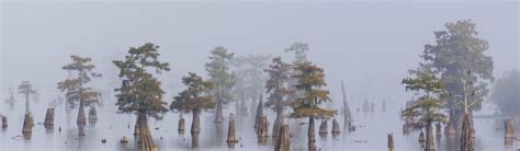 Atchafalaya National Heritage Area (U.S. National Park Service ...