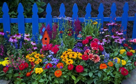 ¿Qué hacer en mayo en tu jardín? - Flores del Mundo