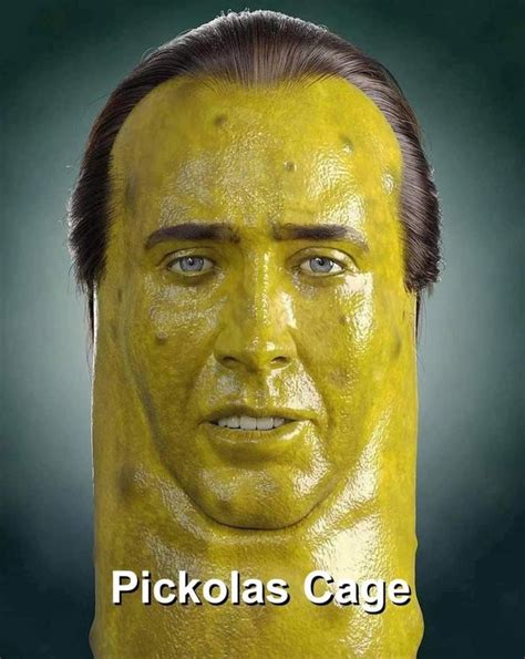 PICKOLAS CAGE. Not Sure where it's from but credit to whoever created ...