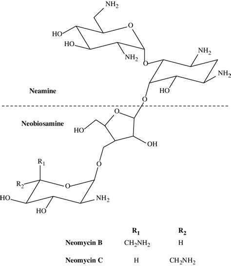 Chemical structure of neomycin and its analogy. | Download Scientific ...