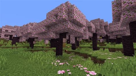 Cherry wood in Minecraft 1.20 update: All you need to know