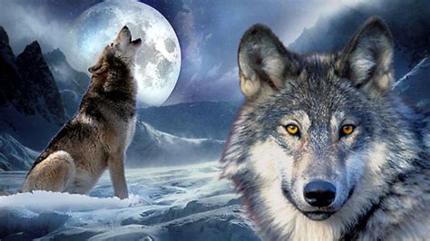 The Lone Wolf Howling at Moon Wallpapers - Top Free The Lone Wolf ...
