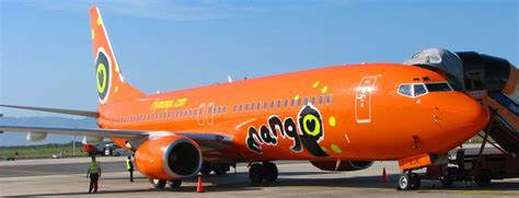 Mango Airline – Book with Byflysa.com | Mango airlines, Cheap international flights, Cheap flights