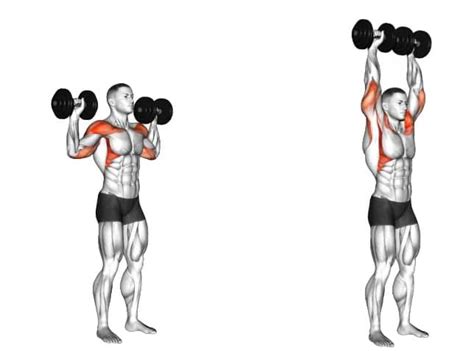 Dumbbell Workout For Chest Standing | EOUA Blog