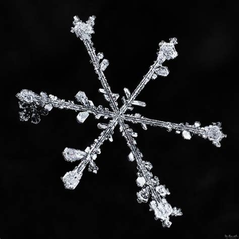 Snowflake under a microscope, these photos keeps me amazed, I never get ...