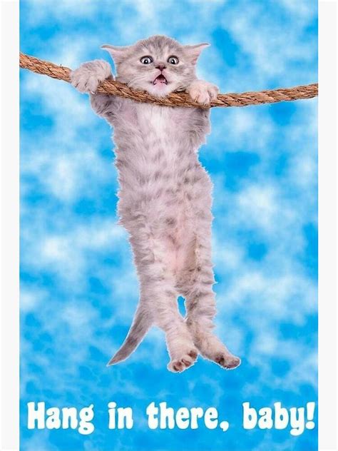 "Hang In There,Baby! Meme Cat" Poster for Sale by jamiejeffer | Redbubble