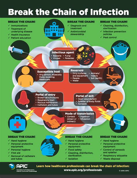 Break the Chain of Infection - Infection Prevention and You | Chain of infection, Infection ...