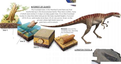 Corythosaurus Skeleton - Dinosaur Resources - Fossil Hunters