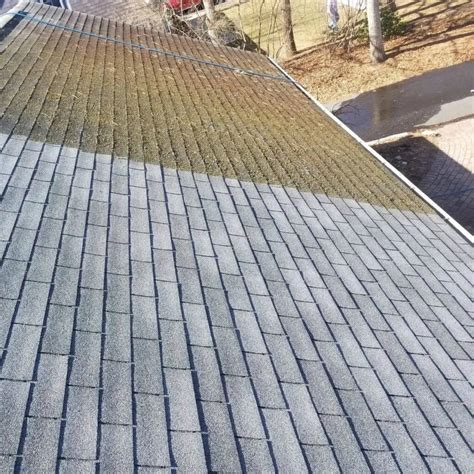 Pressure Washing Roof Shingles | Blue Gander Window Cleaning