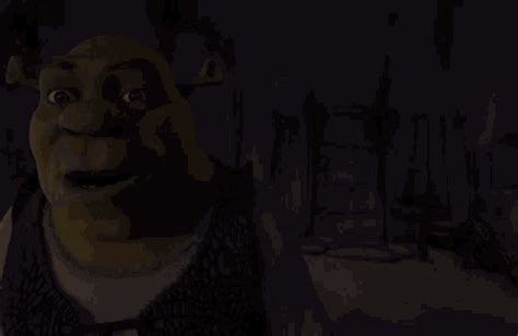 Shrek GIF - Shrek - Discover & Share GIFs