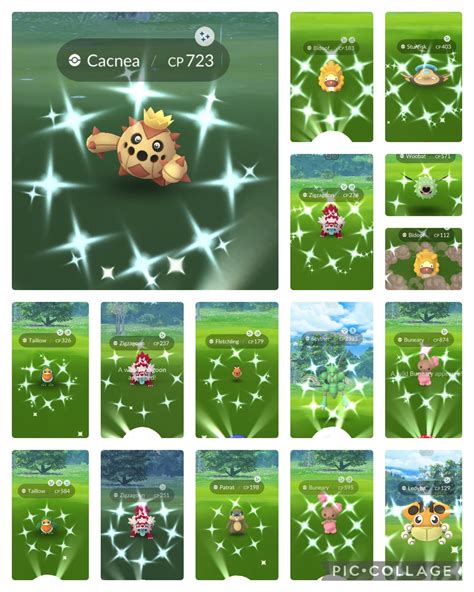 danny on Twitter: "Today's shinies 16 shinies! Best day I've ever had for a non event. Brand new ...