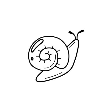 Hand drawn black and white snail with shell. Decorative element for cosmetics packaging. Flat ...